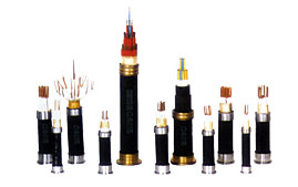 ���������Ӌ��C(j��)����̖��|